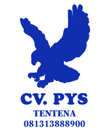 pys logo